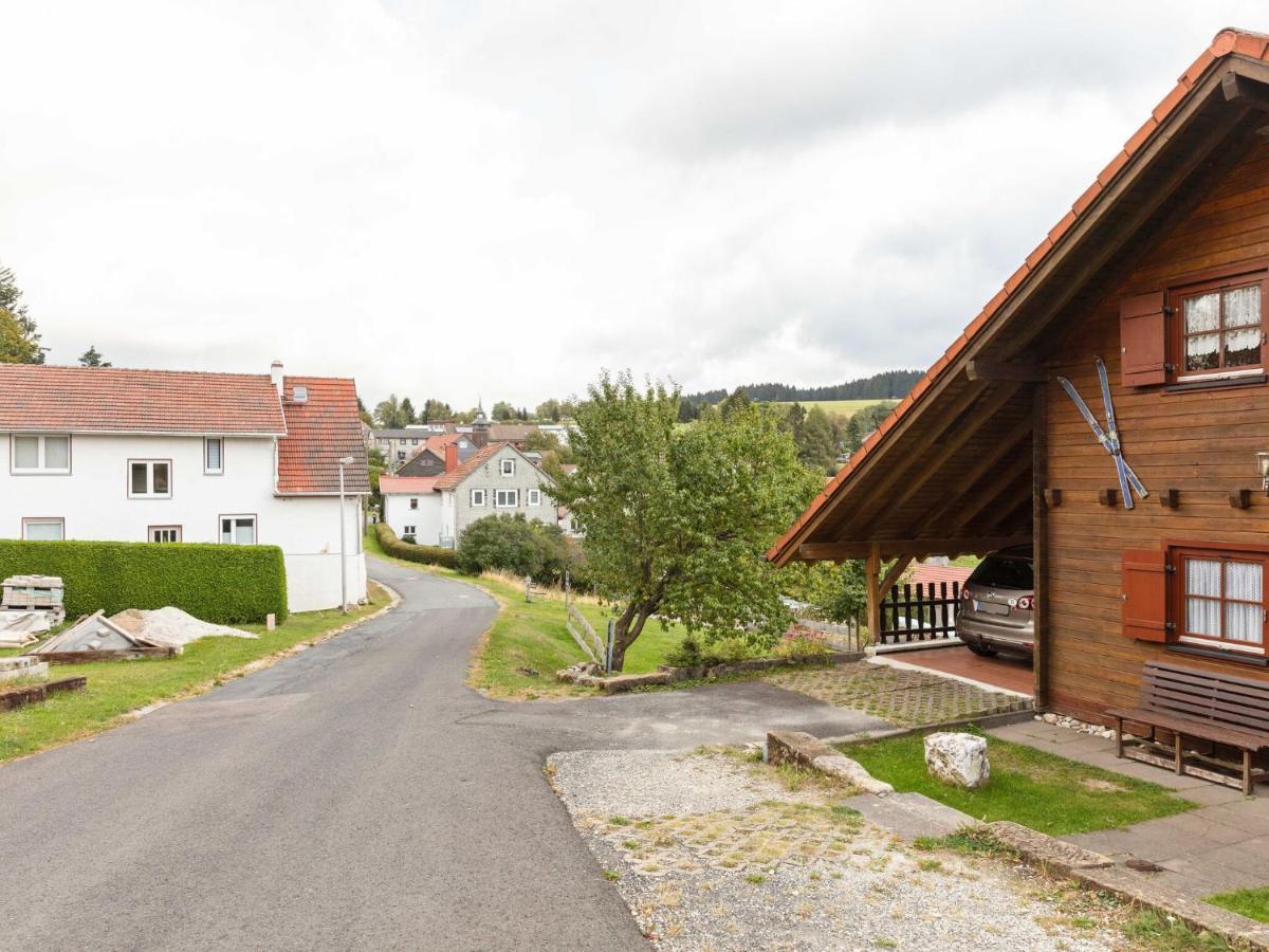 Chalet In Hinterrod Thuringia With Sauna Eisfeld Экстерьер фото